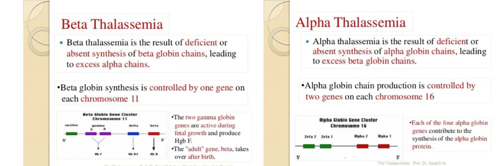 2 types of Thalassemia