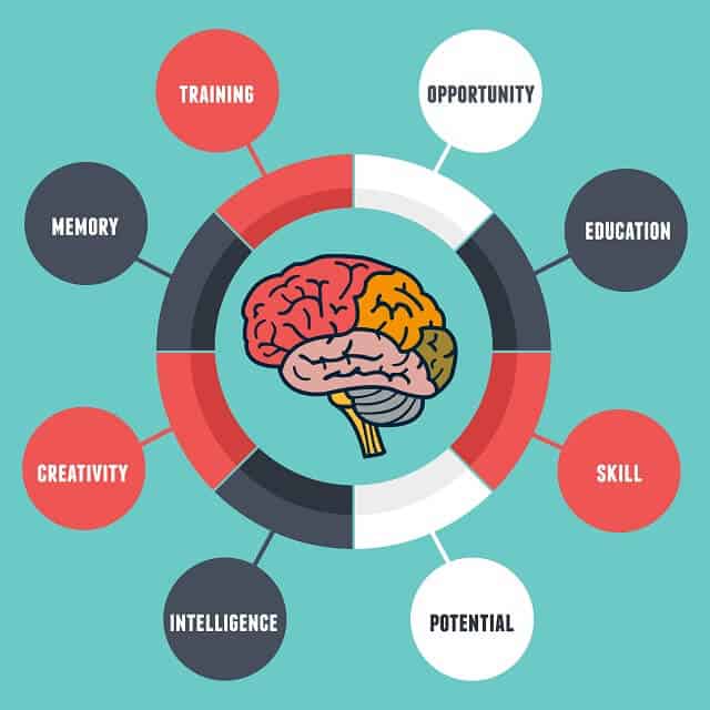 Piagets theory of cognitive development