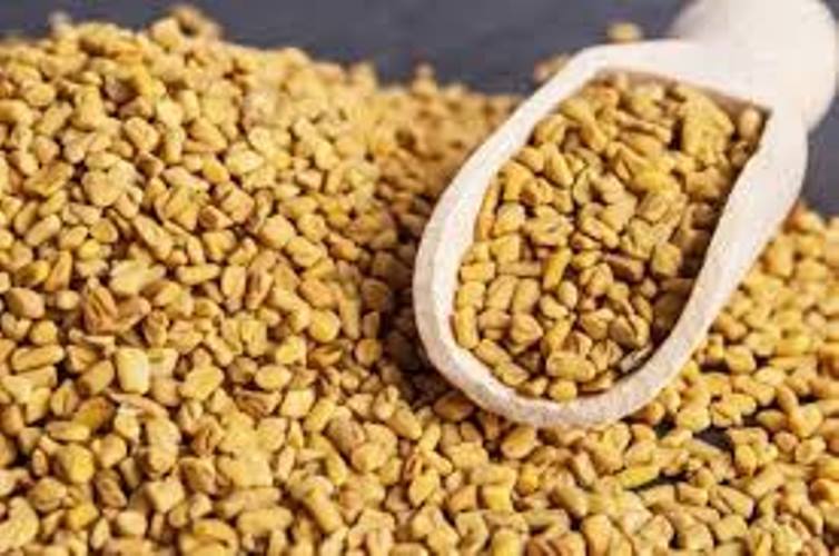 health benefits of methi seeds 2