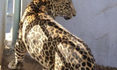 FB IMG 1524238005554