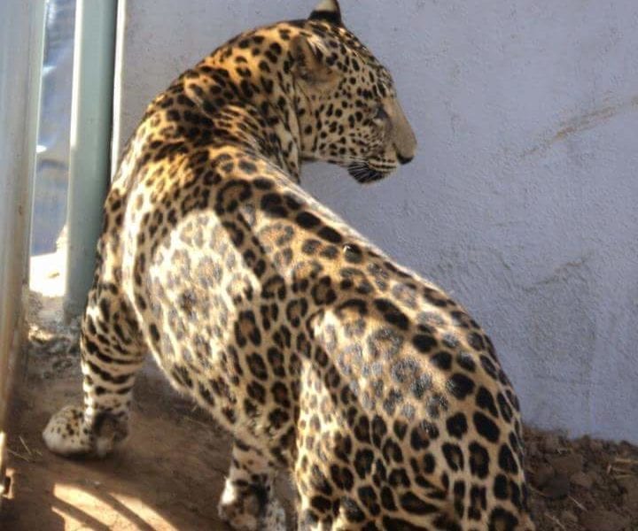 FB IMG 1524238005554