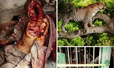 IMG 20180527 212741 986