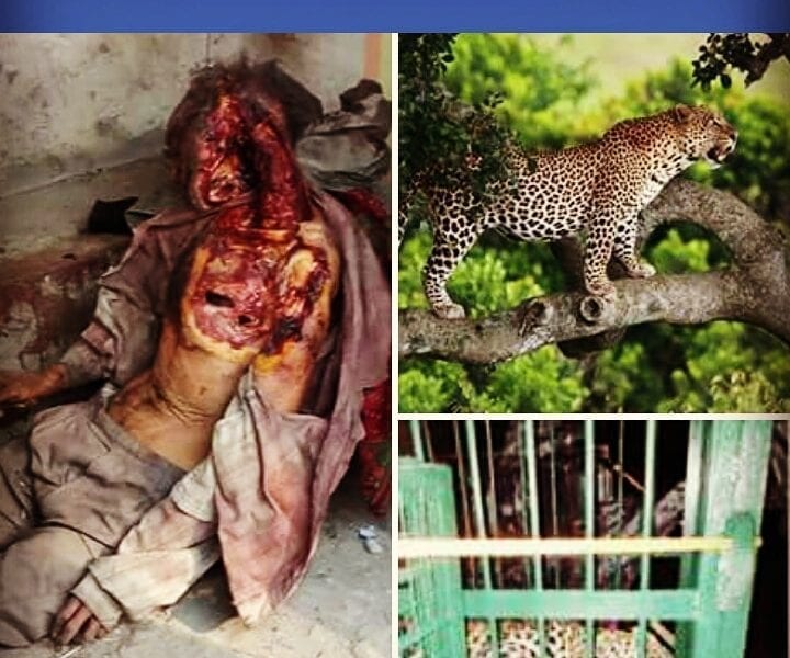 IMG 20180527 212741 986