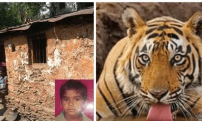 20180613 005800 400x240 1