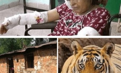 20180614 133312 400x240 1