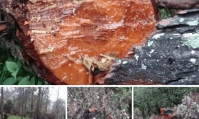 20180802 171750 400x240 1