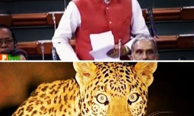 IMG 20180811 010553 683