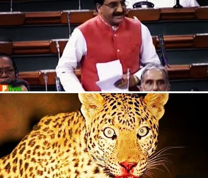 IMG 20180811 010553 683