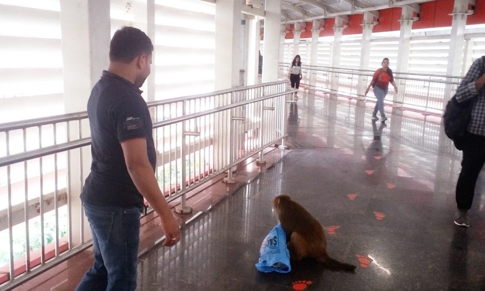 IMG 20180902 133235 588