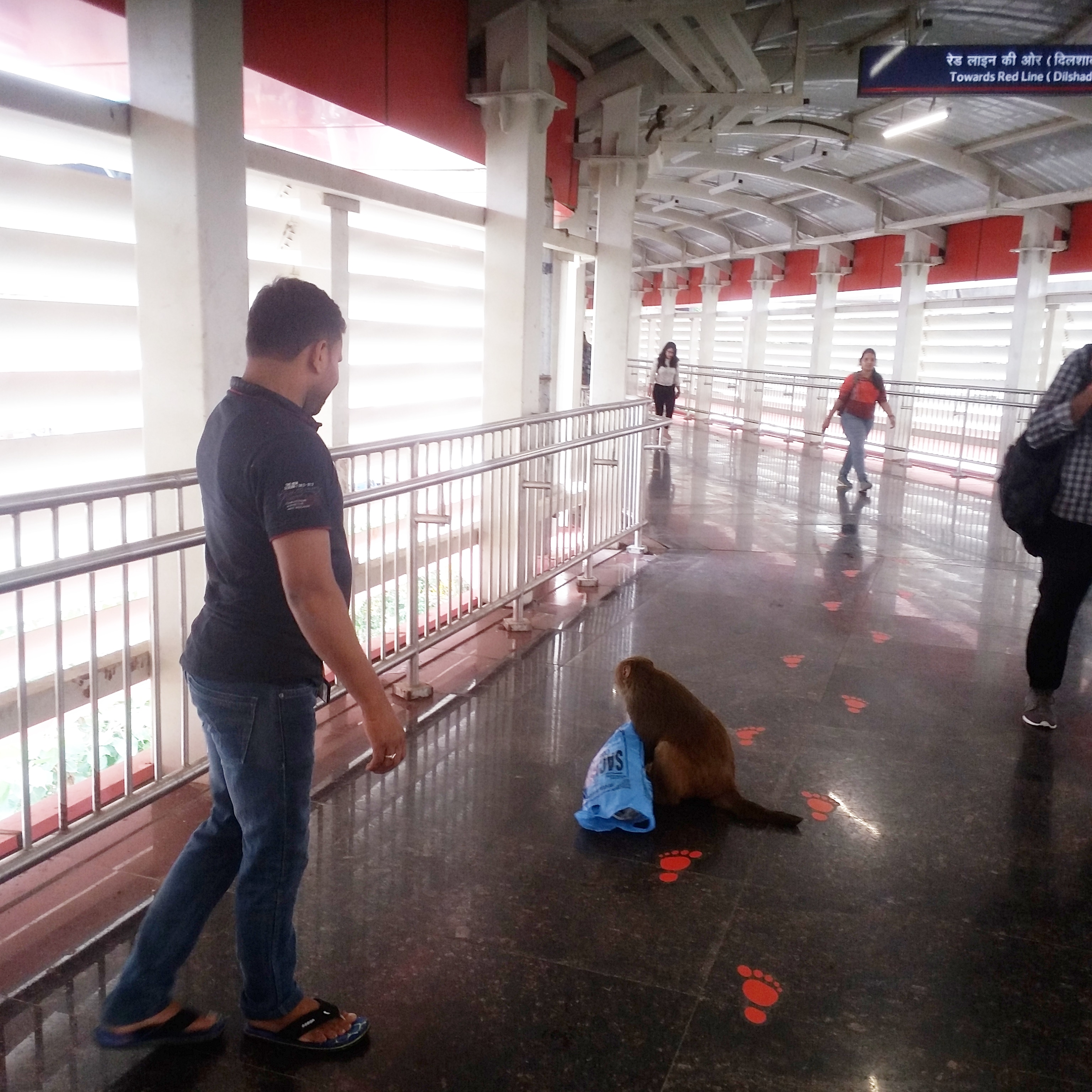 IMG 20180902 133235 588