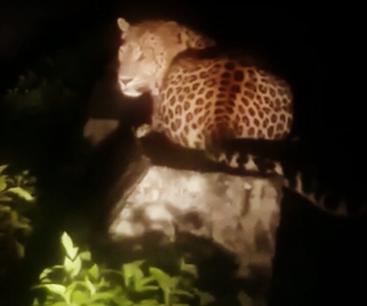 IMG 20180918 182816 431