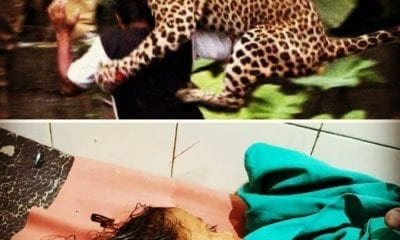 IMG 20180919 234316 185