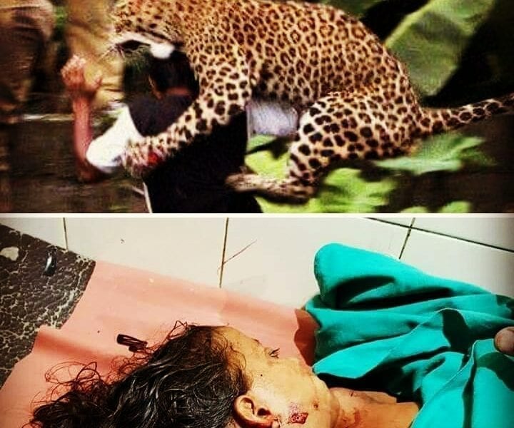 IMG 20180919 234316 185