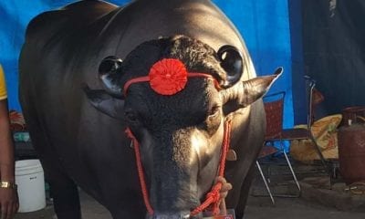 FB IMG 1539447961666