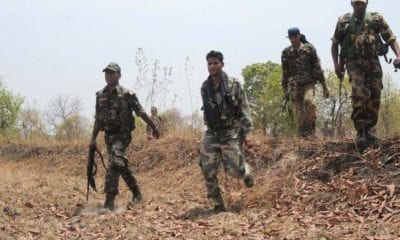 FB IMG 1541743415172