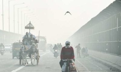 770093 delhi cold fog dec 25 pti 2