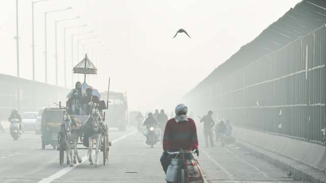 770093 delhi cold fog dec 25 pti 2