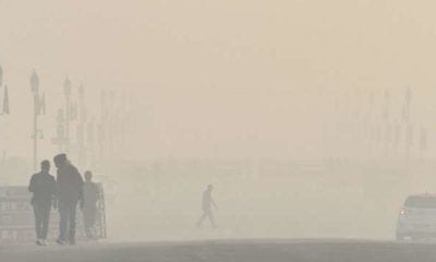 771785 delhi fog dec 30 pti 1