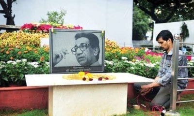782641 bal thackeray dna