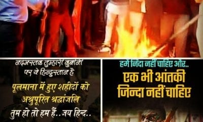 IMG 20190215 155119 330