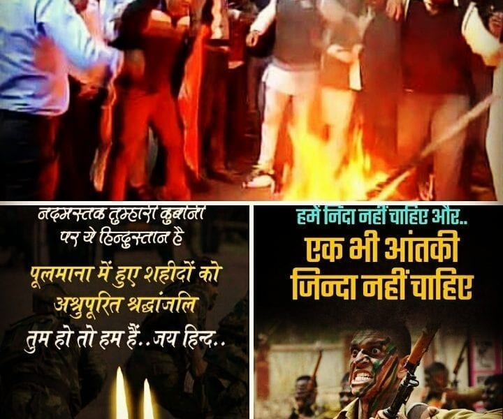 IMG 20190215 155119 330