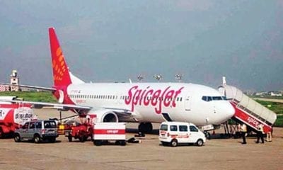 799085 spicejet cargo 012419