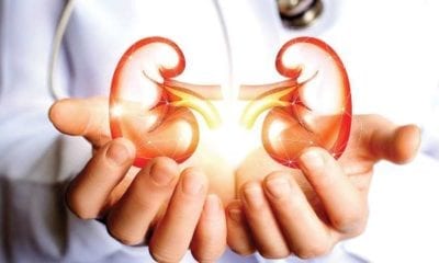 800956 kidneys istock 031219