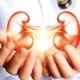 800956 kidneys istock 031219