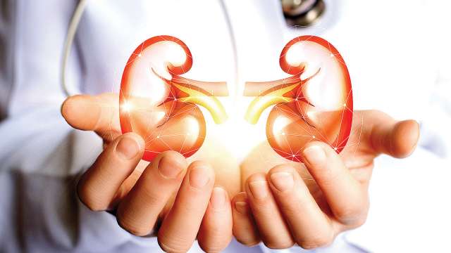 800956 kidneys istock 031219