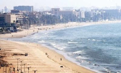 806679 juhu beach dna