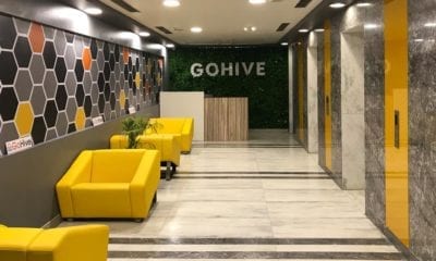 Gohive