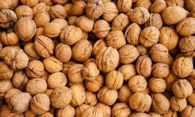 f8cb764e 5211 11e9 881a ac7907c23fdf