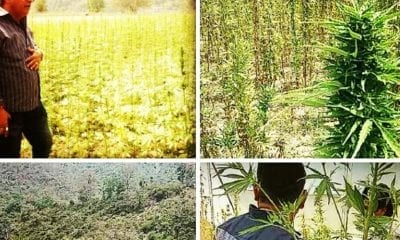 IMG 20190405 165927 274