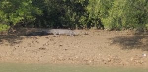 WhatsApp Image 2019 05 08 at 11.34.48