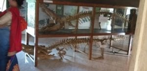 WhatsApp Image 2019 05 08 at 11.34.49 1