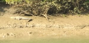 WhatsApp Image 2019 05 08 at 11.34.52