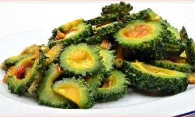 WhatsApp Image 2019 07 04 at 17.08.12