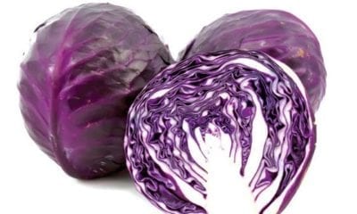 WhatsApp Image 2019 07 13 at 17.43.55