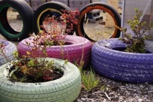 WhatsApp Image 2019 07 14 at 16.35.38