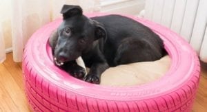 WhatsApp Image 2019 07 14 at 16.35.58