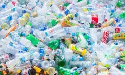 WhatsApp Image 2019 07 15 at 18.19.21