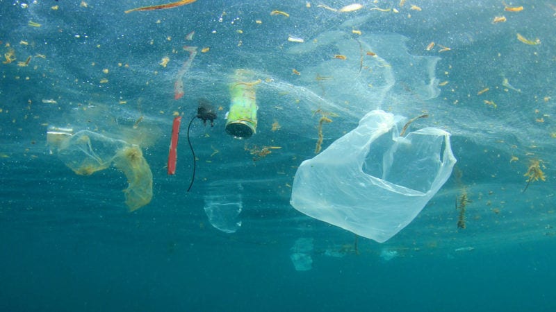 Plastic pollution3