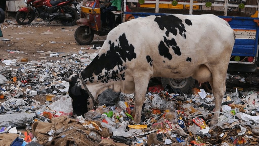 Plastic pollution6 1024x576 1
