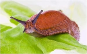 WhatsApp Image 2019 08 21 at 11.18.52