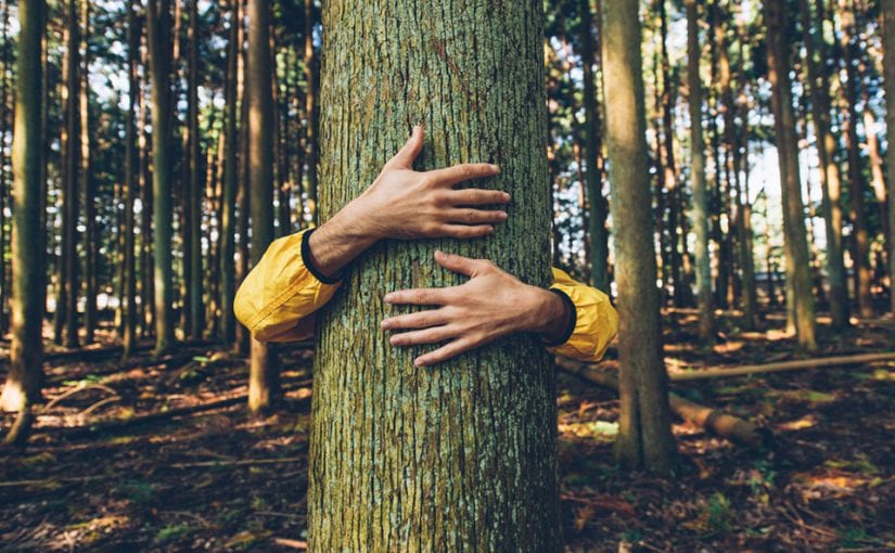 Deforestation2