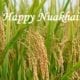 Happy NuaKhai