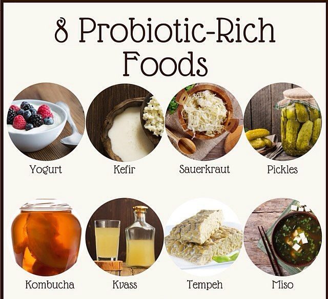 Probiotic Rich Foods