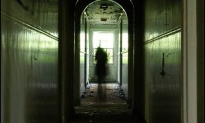 2931375310 d17c21036e