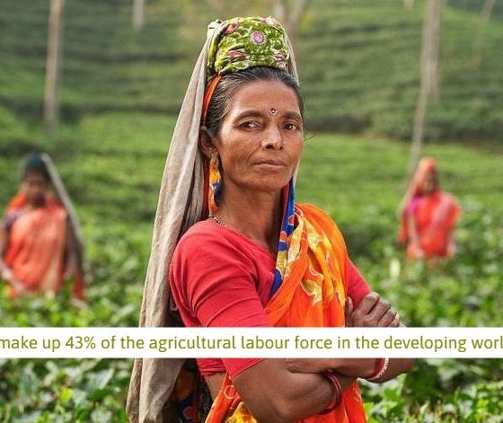 Women make up 43% of the agricultural labour force in the developing world