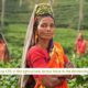 Women make up 43% of the agricultural labour force in the developing world